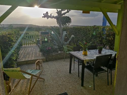 une table, des chaises et un chat debout sur une terrasse dans l'établissement BAMBOU NATURE, à Saint Pierre La Mer