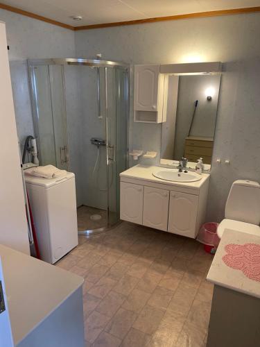 a bathroom with a shower and a sink and a mirror at Bjørkely gård in Hidra