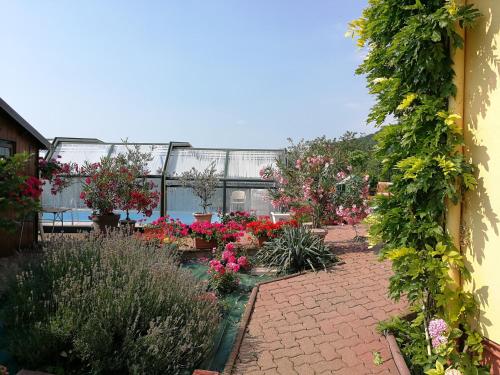 Κήπος έξω από το Chambre d'hôtes de la tulipe
