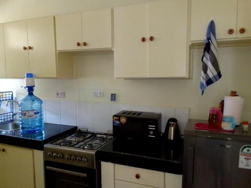 a kitchen with a stove and a bottle of water at Tranquil haven - spacious, cozy, 1 bedroom in Kisumu