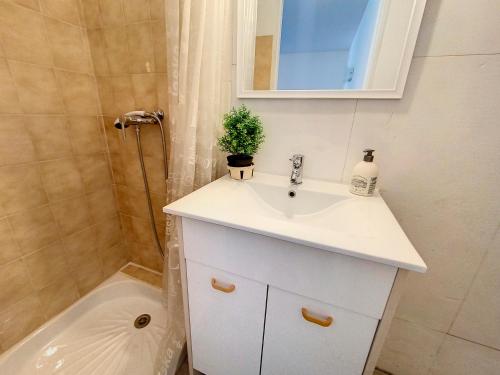 y baño con lavabo y ducha. en Gorges du Verdon - Hyper centre Castellane - Rue Piétonne - Studio 3 Couchages, en Castellane