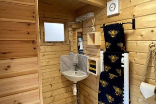 a bathroom with a sink and a toilet in a room at The Bee Hive Garden Room in Dorchester