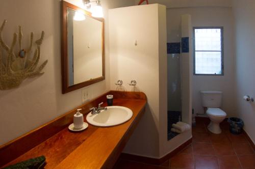 La salle de bains est pourvue d'un lavabo, d'un miroir et de toilettes. dans l'établissement BlueBelize B&B, à Punta Gorda