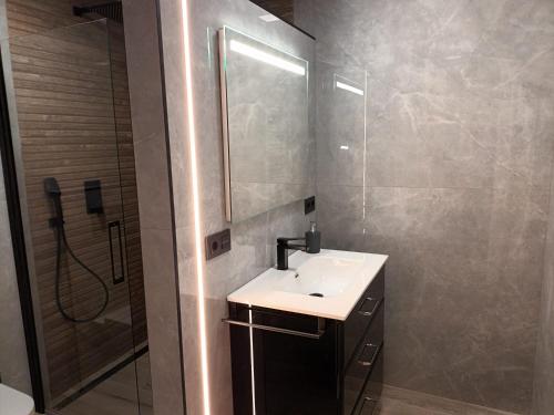a bathroom with a sink and a shower at Apartamento Roma 8 in León