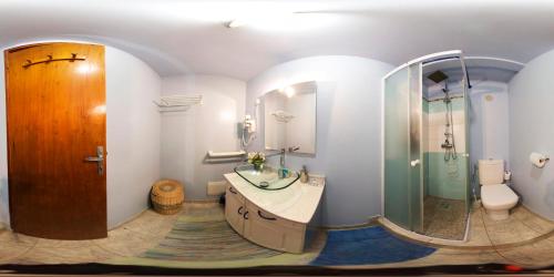 a bathroom with a shower and a sink and a toilet at LES JOYAUX DE BALATA in Saint-Joseph