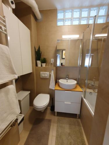 a bathroom with a toilet and a sink and a mirror at Apartman guru 3 Szeged in Szeged