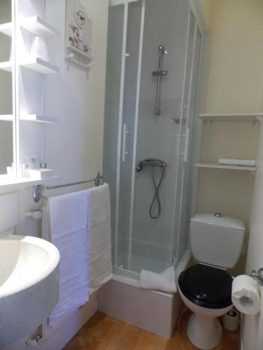 a bathroom with a shower and a toilet and a sink at Hôtel San Pedro in Saint Malo