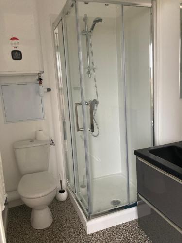 une salle de bain avec douche et toilettes dans l'établissement 99 BIS FP, à Limoges