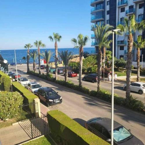 una calle con coches aparcados, palmeras y el océano en Apartament Punta Prima, en Torrevieja