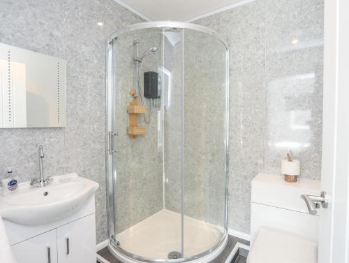 a bathroom with a shower and a sink at Ger Y Llan in Llangefni