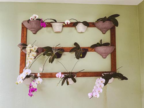 a wooden frame with potted plants on a wall at Casa confortável com churrasqueira na Granja Viana in Carapicuíba