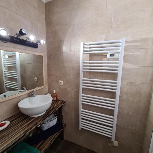 een badkamer met een wastafel en een spiegel bij Entre mer et montagne in Le Boulou