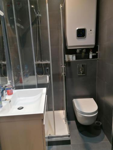 une petite salle de bain avec toilettes et lavabo dans l'établissement A la Tour des Rohan, à Strasbourg