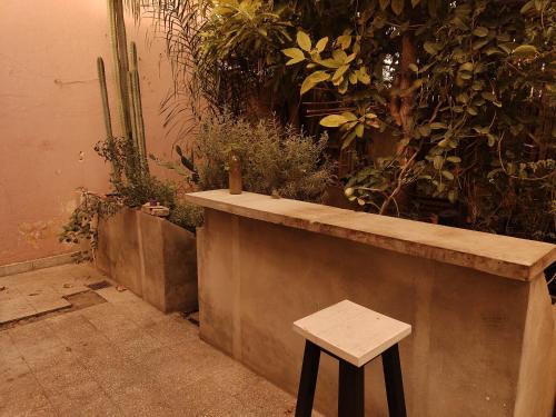 a stool sitting next to a counter with plants at Casa Paraiso in Presidente Roque Sáenz Peña