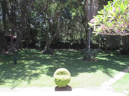 a green bush in the middle of a park at Equator Hotel in Arusha