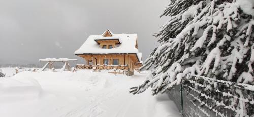 a log cabin in the snow with snow covered trees at Góralskie Domki na Podhalu - z jacuzzi in Maniowy
