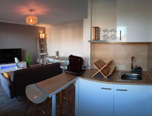 une cuisine avec un évier et un plan de travail dans l'établissement Cosy appartement, Vue sur Genève, à Collonges-sous-Salève