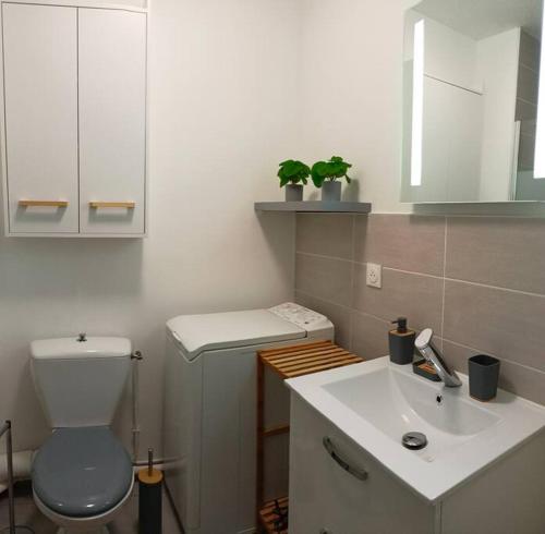 uma casa de banho com um WC e um lavatório em Cosy appartement avec vue sur Genève em Collonges-sous-Salève