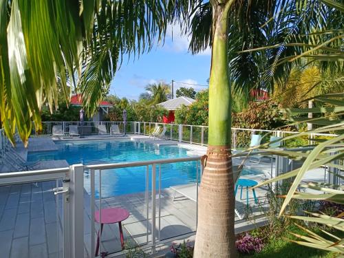 a palm tree sitting next to a swimming pool at Hôtel & Villa Le Cocotel in Saint-François