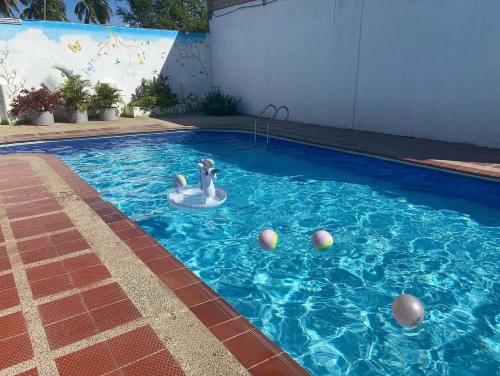 a pool with a duck in the water with balls in it at Hotel la Sierra Riohacha II in Ríohacha