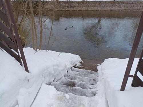 a set of stairs in the snow with ducks in the water at Penzion U Halířů in Mladé Buky