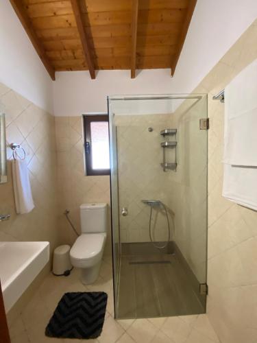 a bathroom with a glass shower and a toilet at Hera Loft in Iraion