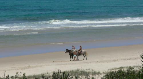 two people are riding horses on the beach at White Waves on the Beach in Hastings Point