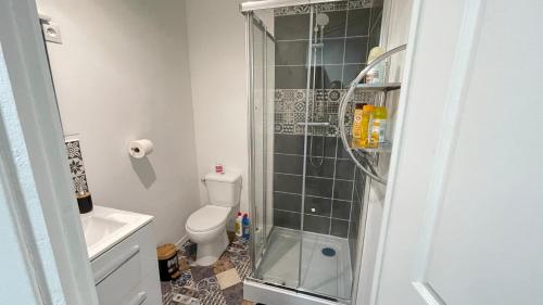 een badkamer met een toilet en een glazen douche bij Charmant studio de 25m², Douai in Douai