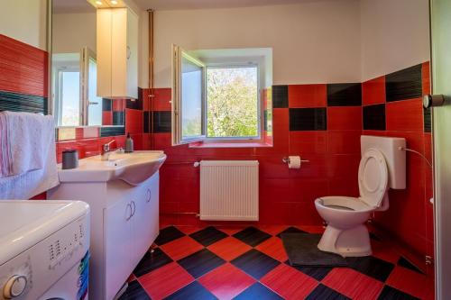 a bathroom with a toilet and a sink and a mirror at Holiday house with a parking space Sleme Skradsko, Gorski kotar - 20726 in Skrad