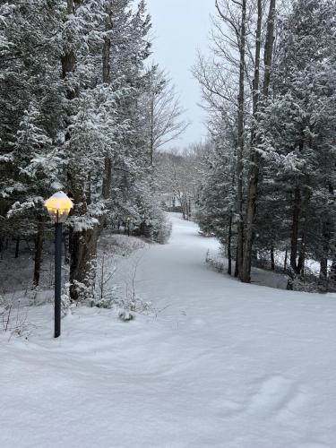 a snow covered path with a light pole and trees at Catskills Cabin: Hot Tub, Firepit, WFH, Ski, Games in Lexington