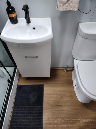 ein Badezimmer mit einem weißen Waschbecken und einem WC in der Unterkunft Tiny Home - Bluebird in Hartley