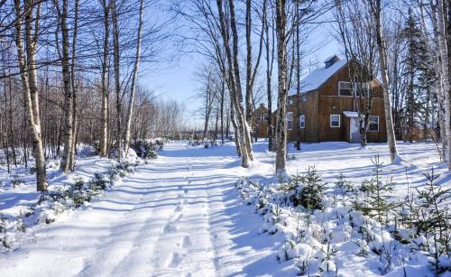 a snow covered path in front of a house at Cabot Shores in Indian Brook