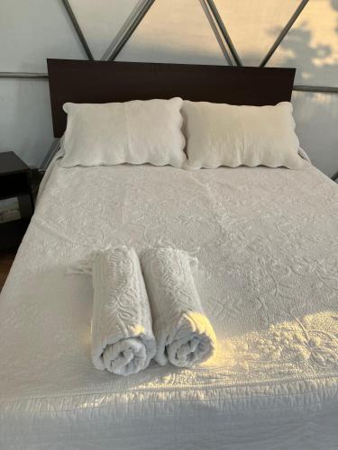 a bed with two towels and pillows on it at Glamping Viñas de Elqui in Vicuña