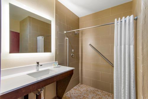 a bathroom with a sink and a shower at Comfort Suites Locust Grove Atlanta South in Locust Grove