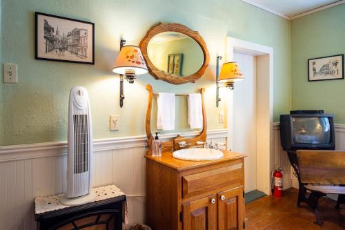 a bathroom with a sink and a mirror and a tv at The Pines of Dresden in Dresden