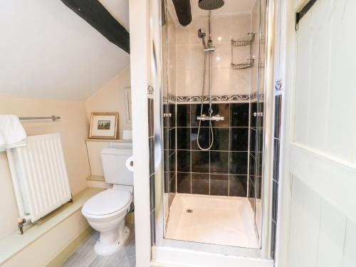 a bathroom with a shower and a toilet at Carter's Cottage in Stow on the Wold