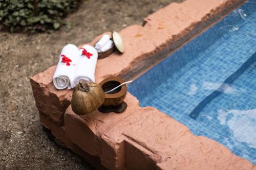 una figurita de una piscina con caracol y toallas en amã Stays & Trails Asanji Wadi, Alibag en Alibaug