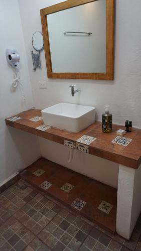 a bathroom counter with a sink and a mirror at Casa Frida in Chelem