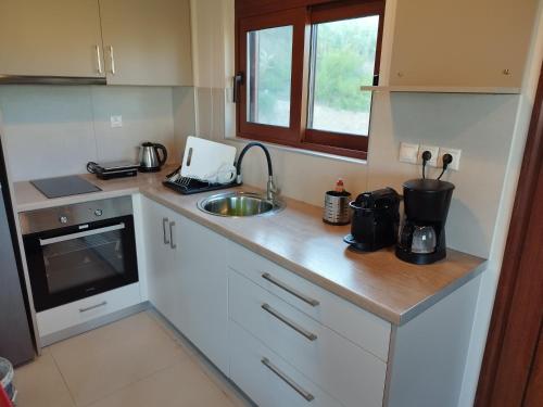 a kitchen with a sink and a counter top at Mary's Panorama Houses in Gialova