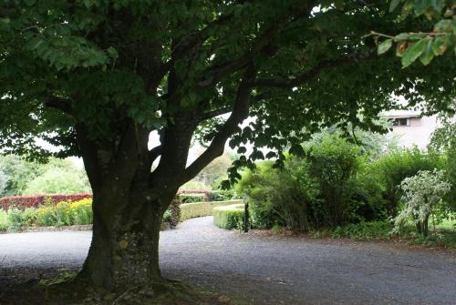 a tree in the middle of a garden at Le Panorama Nadrin in Nadrin