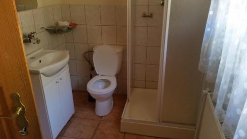 a small bathroom with a toilet and a sink at Chata Hadov in Klášterec nad Ohří