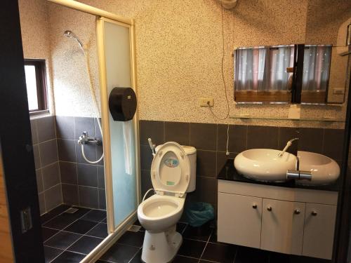 水里鄉的住宿－車埕梅庭民宿，一间带卫生间和水槽的浴室