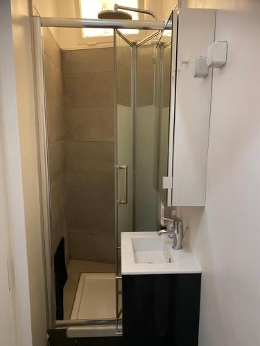 a bathroom with a sink and a shower at Beau 3 pièces à Paris 13 in Paris