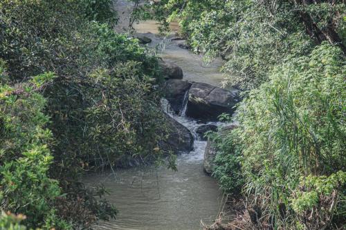 a stream of water in the middle of a forest at Hotel Levon Ella in Ella