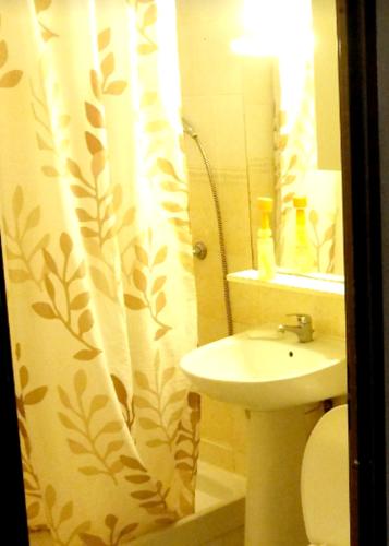 une salle de bain avec un lavabo et un rideau de douche dans l'établissement Appartement charmant Canet-en-Roussillon 36m² piscine partagée, à Canet