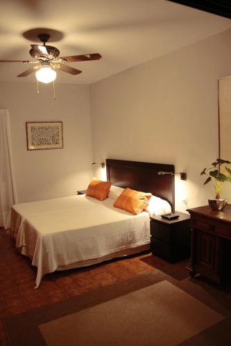 a bedroom with a bed and a ceiling fan at Los Fondos in Costa Del Silencio