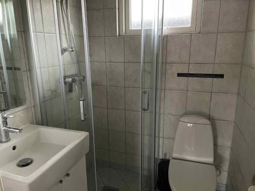 ein Bad mit einer Dusche, einem WC und einem Waschbecken in der Unterkunft Holiday Home With Sauna And View To The Baltic Sea in Nordborg