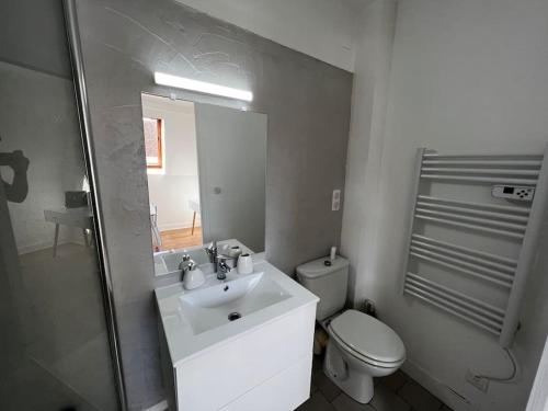 ein Badezimmer mit einem Waschbecken, einem WC und einem Spiegel in der Unterkunft Le Lyautey - Appart neuf centre-ville Châteaudun in Châteaudun