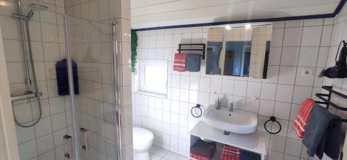 La salle de bains est pourvue d'une douche, d'un lavabo et de toilettes. dans l'établissement Nordsee Ferienwohnung Landhaus Erdgeschoss, à Dornumersiel