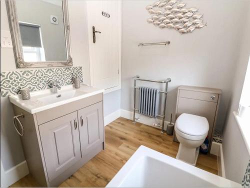 La salle de bains est pourvue d'un lavabo, de toilettes et d'un miroir. dans l'établissement Babbling Brook Cottage, à Stony Middleton